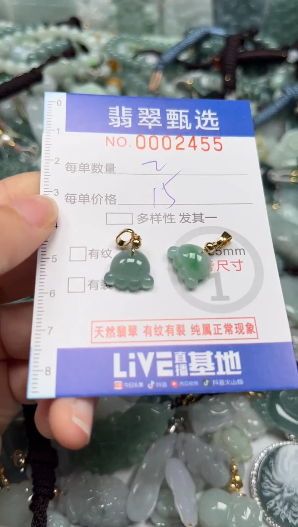 【闪购商品】翡翠颈饰未镶嵌00..2455