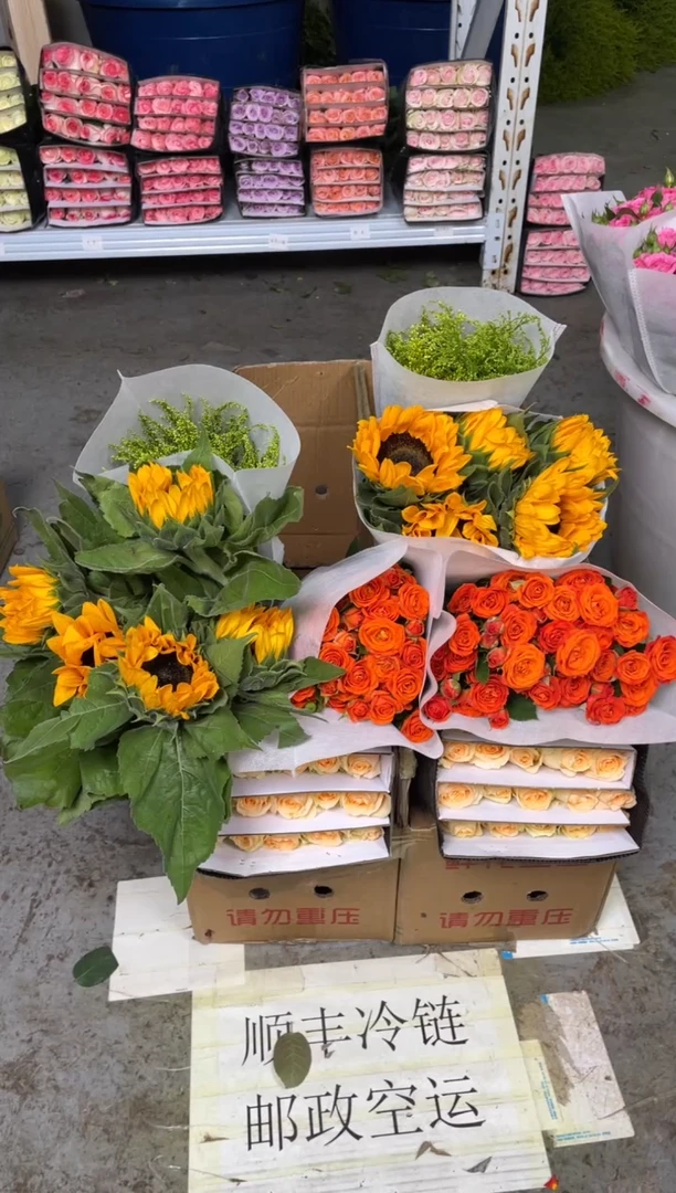 香槟20枝+橙色芭比10枝+向日葵5枝+黄莺