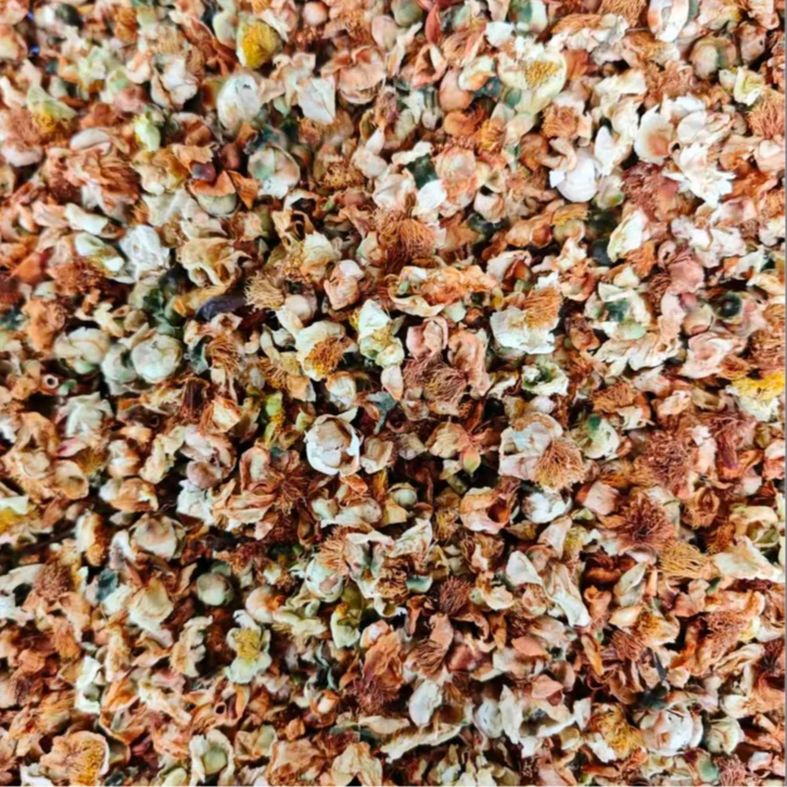 通用链接 冰岛古树茶花