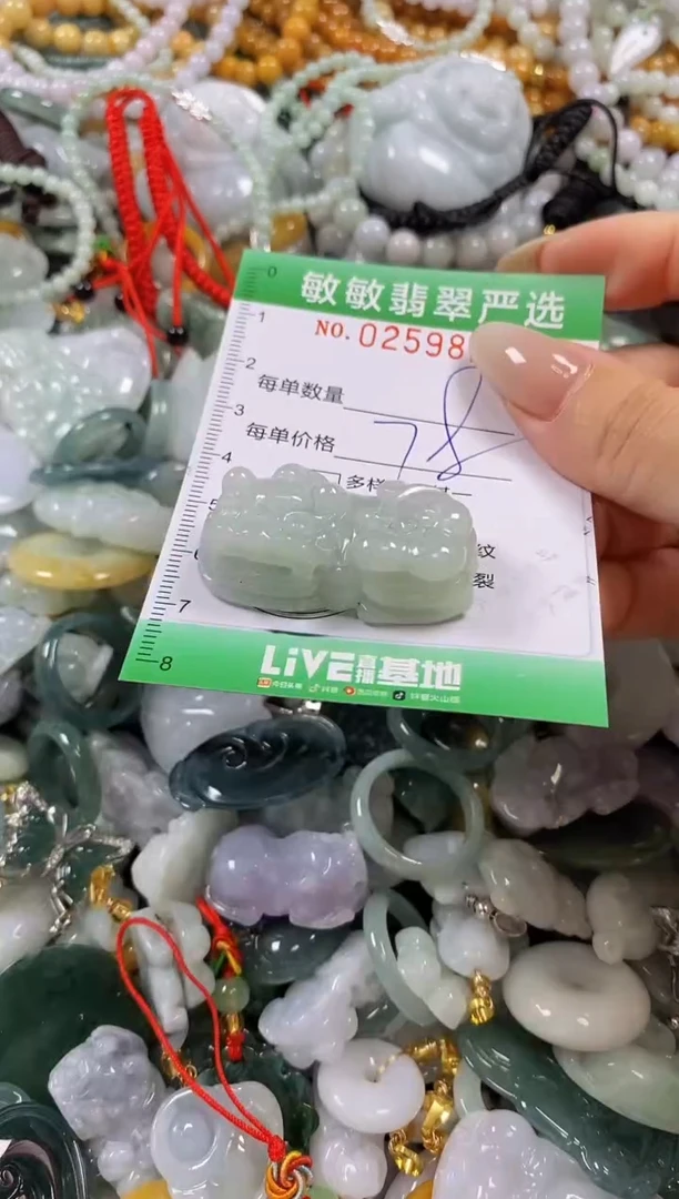 翡翠未镶嵌颈饰闪购0259821