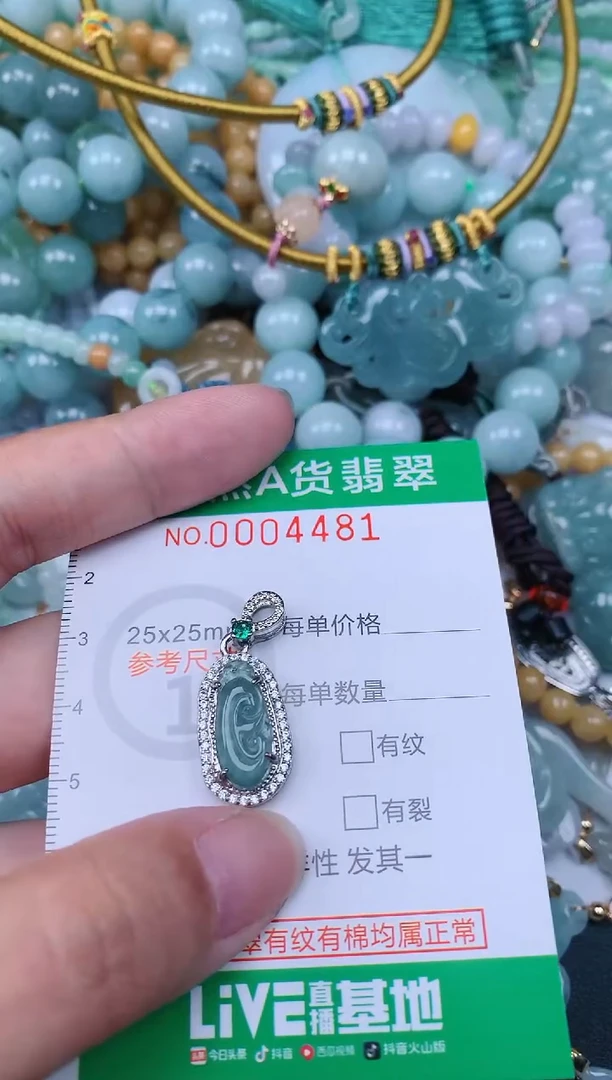 翡翠未镶嵌颈饰.0004481