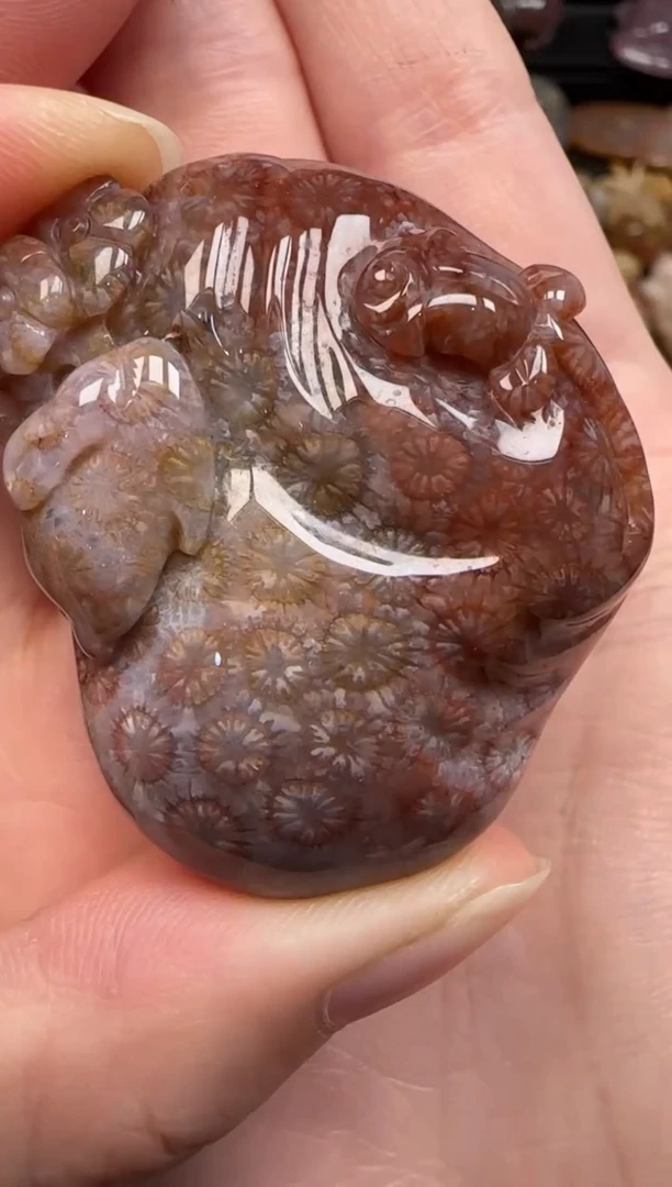 硅化珊瑚（珊瑚玉）未镶嵌颈饰591