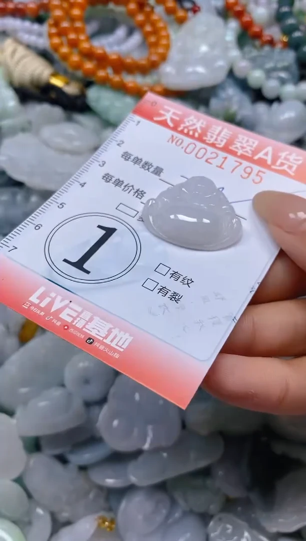 翡翠未镶嵌颈饰闪购0021795