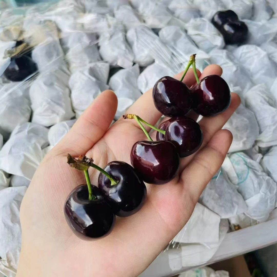 汉源车厘子混装果L（3斤装）黑珍珠樱桃