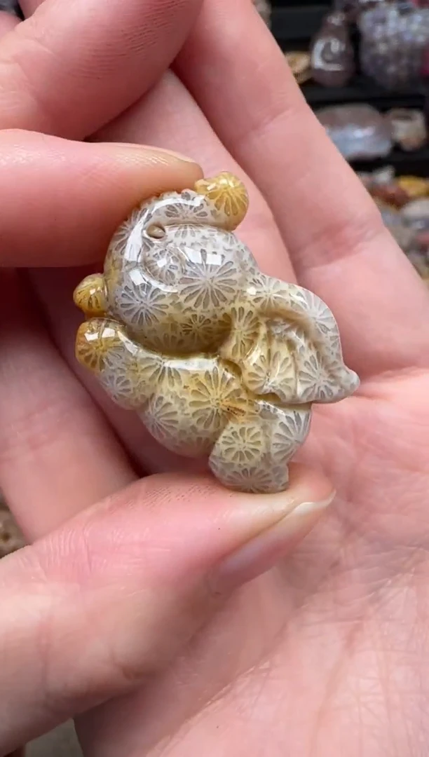 颈饰未镶嵌硅化珊瑚（珊瑚玉）235