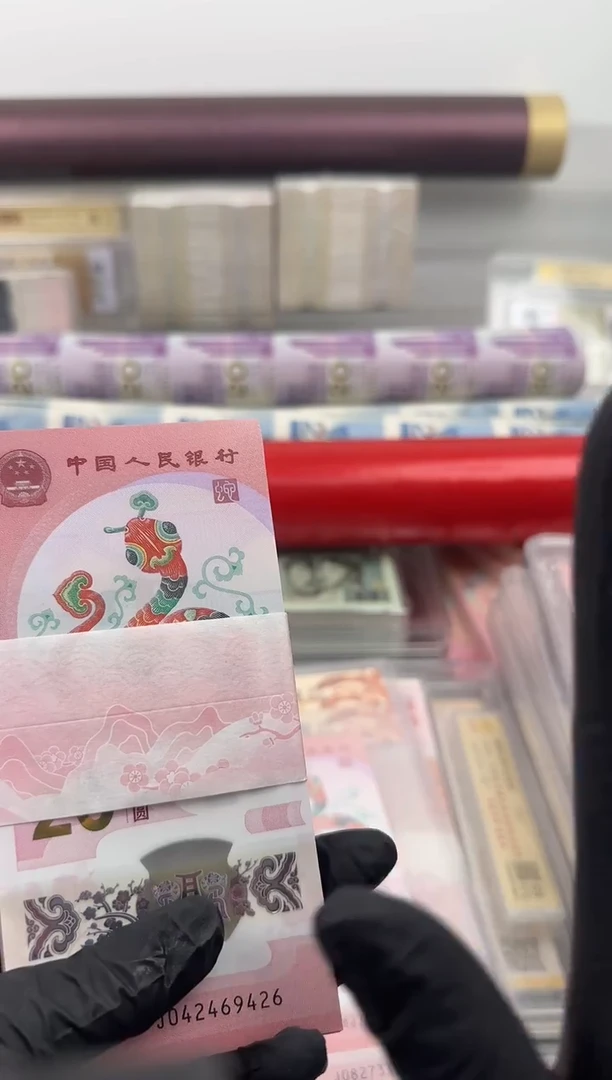 塑料蛇钞百张百连号啊啊（拍下选号）