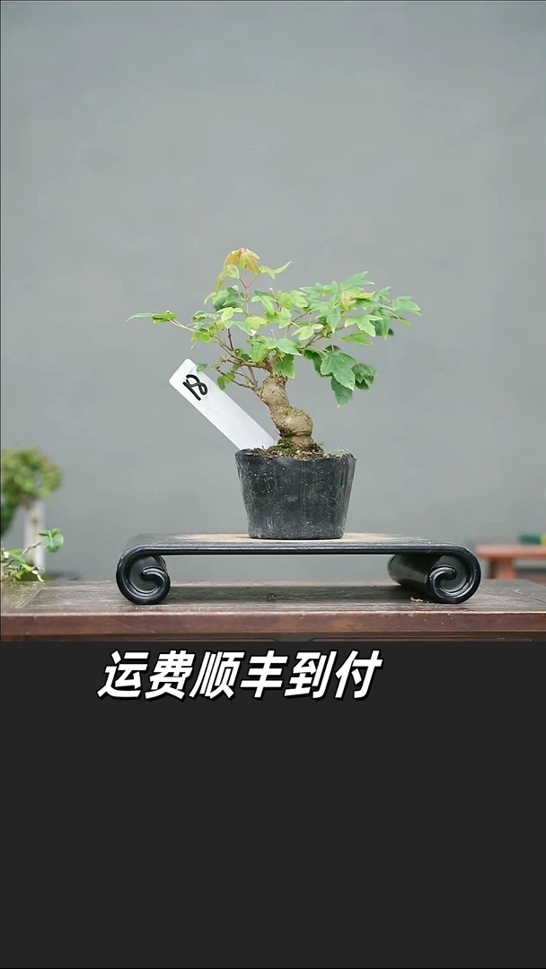 一****活18
