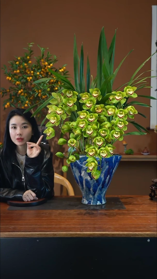 全部花朵玉观音盆景盆景