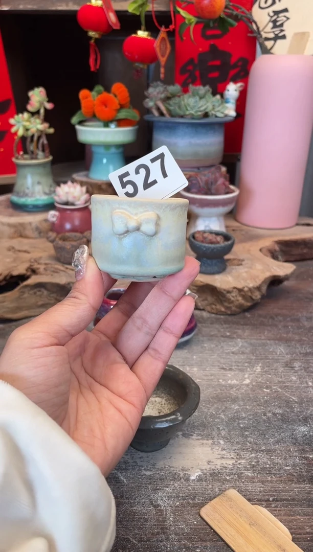 【闪购商品】摆件527知木小芳花盆