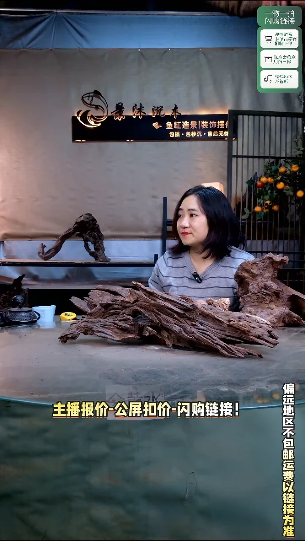 T****苏景沐沉木E330