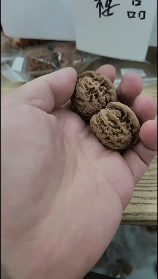 把件核桃【四座楼】开播福利