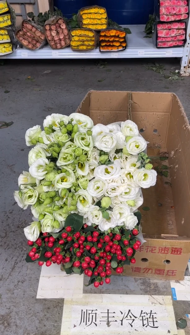 红豆1+洋桔梗800克2扎（白+绿）