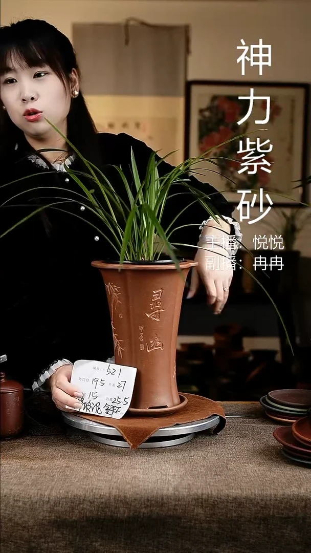 紫砂花盆花卉工艺521+z