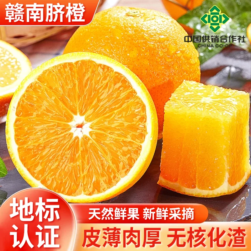 供销合作社正宗江西赣南脐橙多仓发货今天拍明天到新鲜水果橙子清甜爆汁坏果包赔送开果器江西省