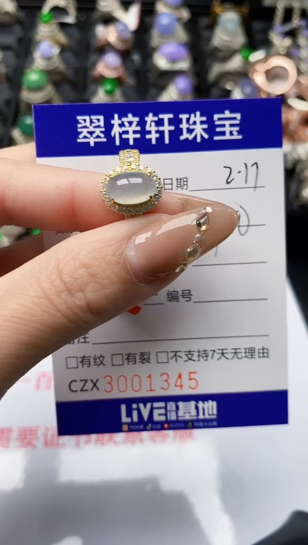 【闪购商品】翡翠戒指银S925镶嵌/1345