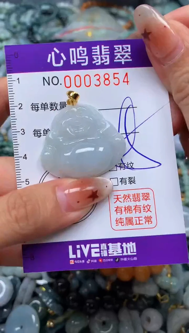 翡翠未镶嵌颈饰闪购003854