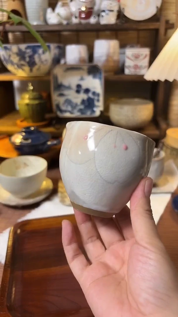 瓷片喵喵家都是大漂亮