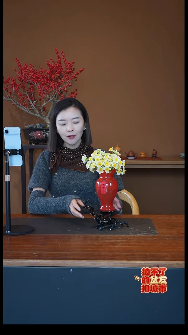 全部花朵水仙花红盆景盆景