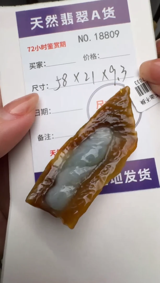 翡翠未镶嵌颈饰原石18809