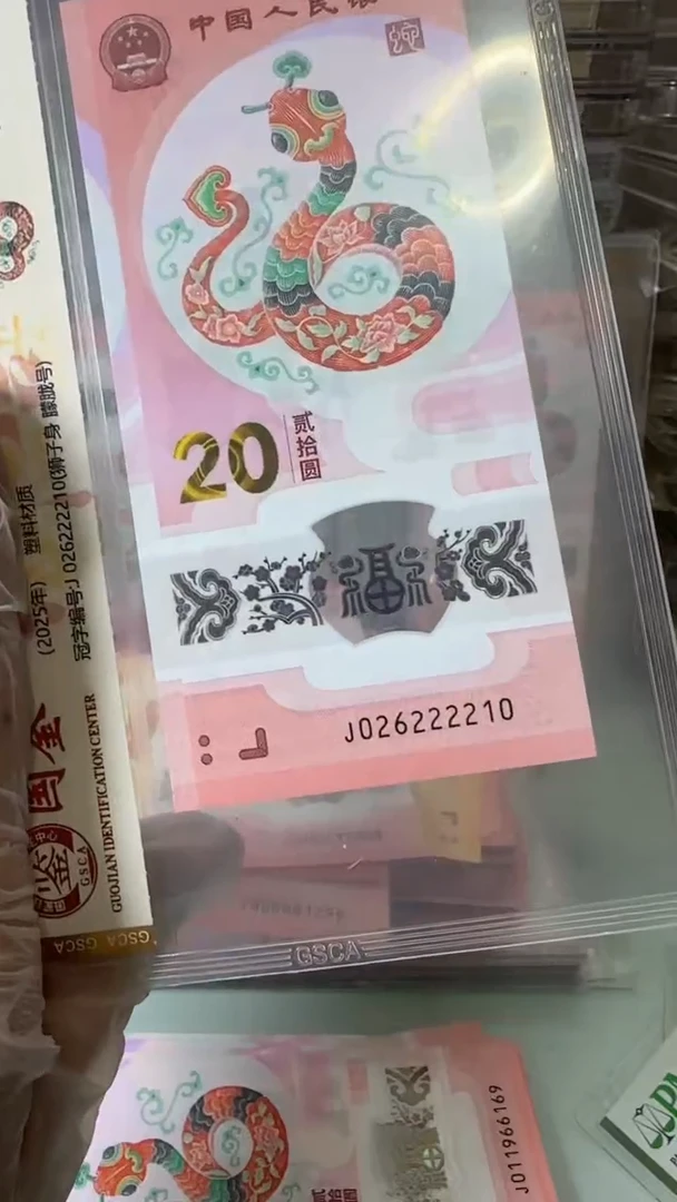 【闪购商品】塑料026222210-蛇钞单张！