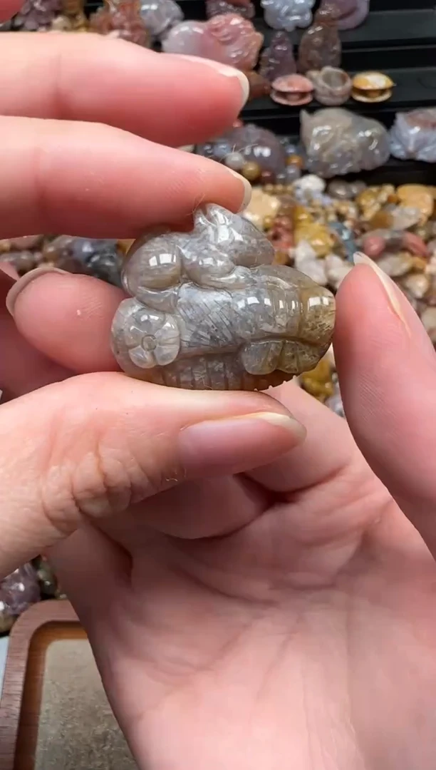 颈饰未镶嵌硅化珊瑚（珊瑚玉）308