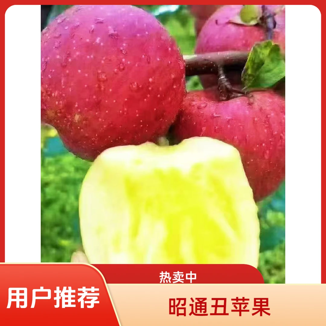 （云南昭通冰糖心丑苹果新鲜脆甜多汁应季水果）