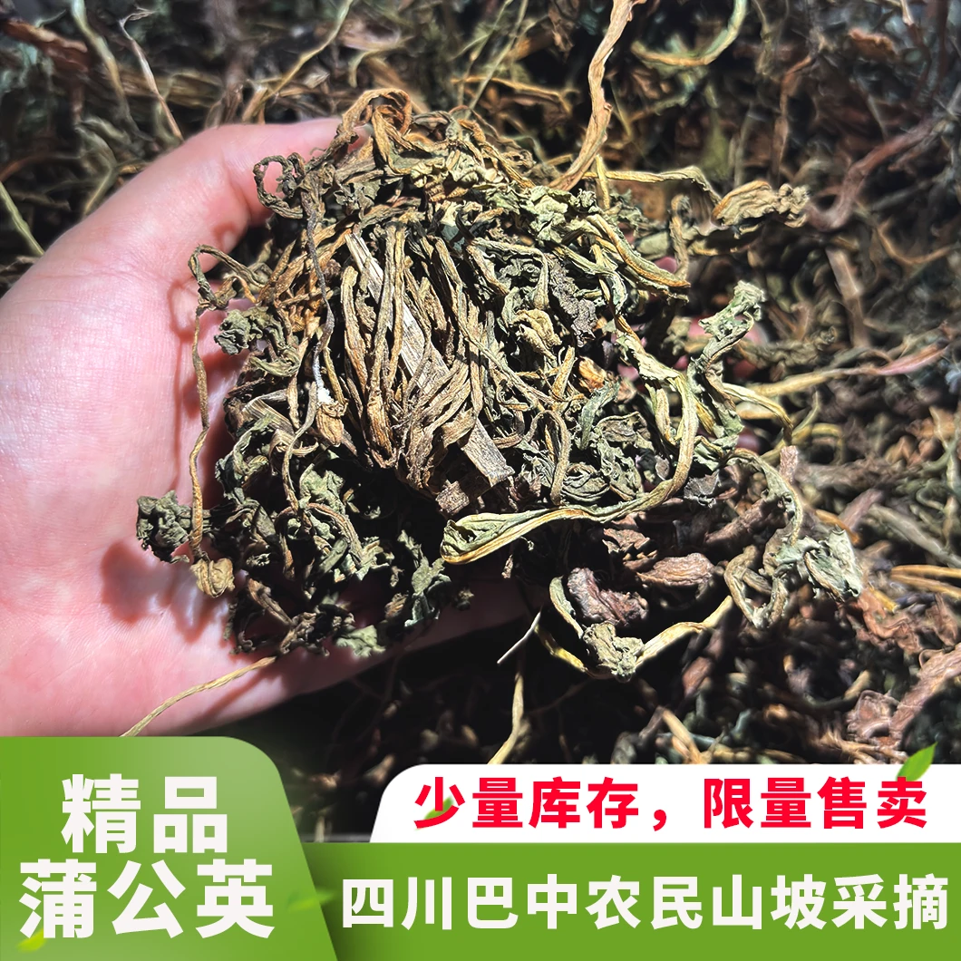 四川巴中农村精品蒲公英婆婆丁当季新货自然晾晒泡水泡茶煮水