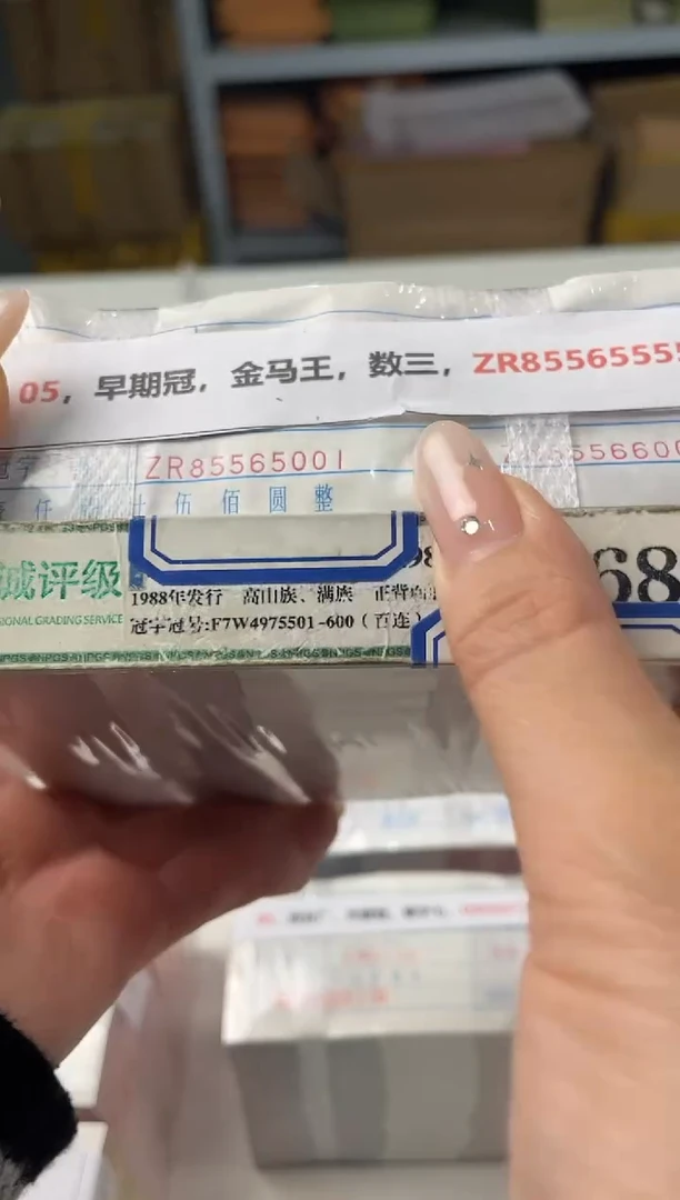 M，05，早期冠，金马王，数三，ZR85565555