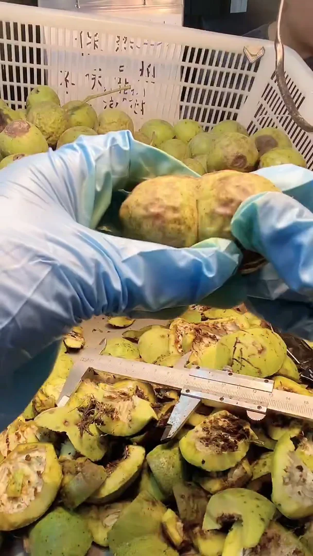 吊坠文玩核桃马蹄半壁竞拍NO退NO换