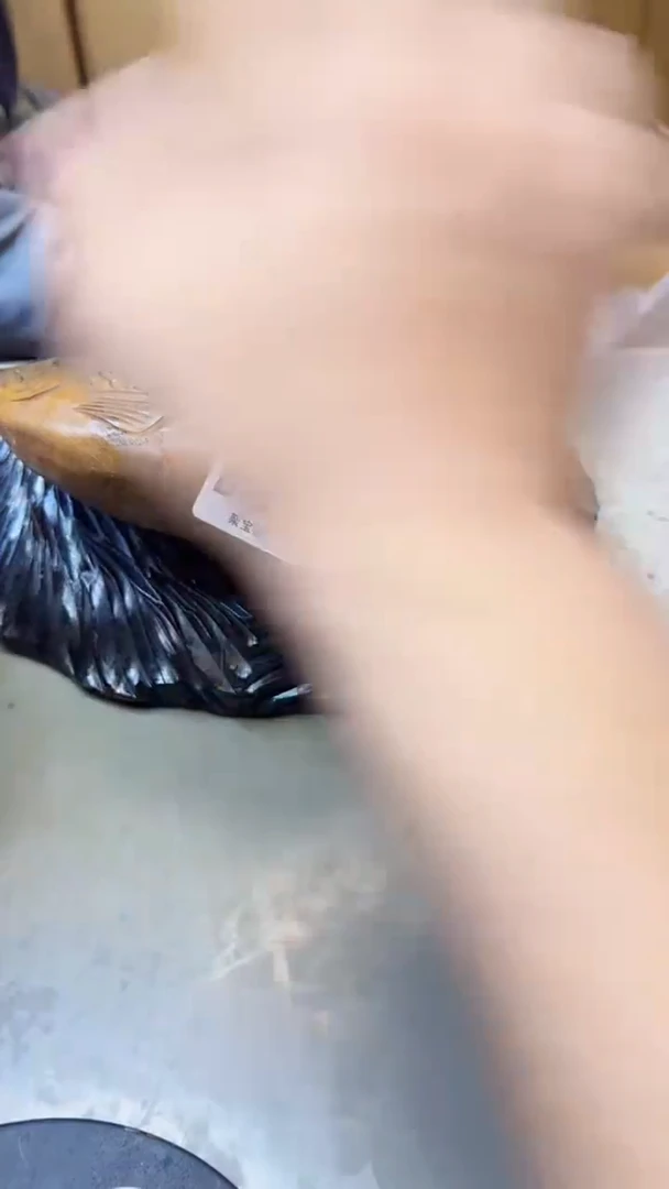 【闪购商品】瓷片159聚宝缘二号店