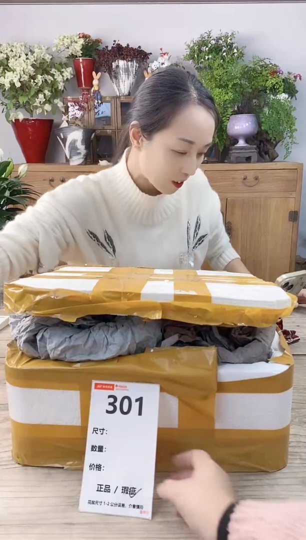 小玩子花盆直播号301