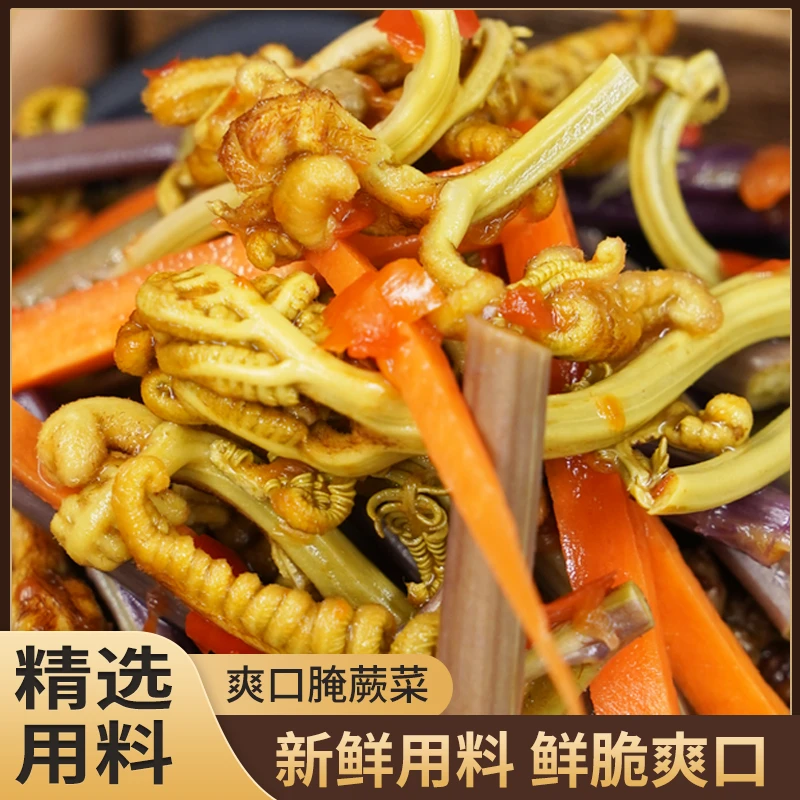 【腌蕨菜】云南特色美食农家手工自制下饭拌面清爽解腻酸辣爽口