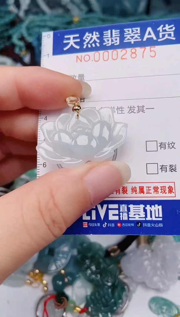 颈饰未镶嵌翡翠00002875