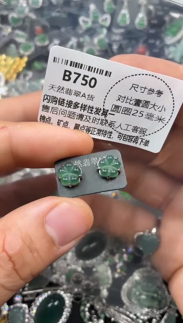 颈饰未镶嵌翡翠B750耳钉