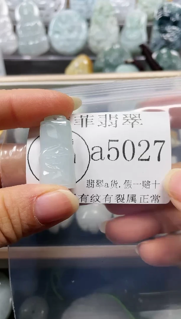 【闪购商品】翡翠颈饰未镶嵌闪购5027