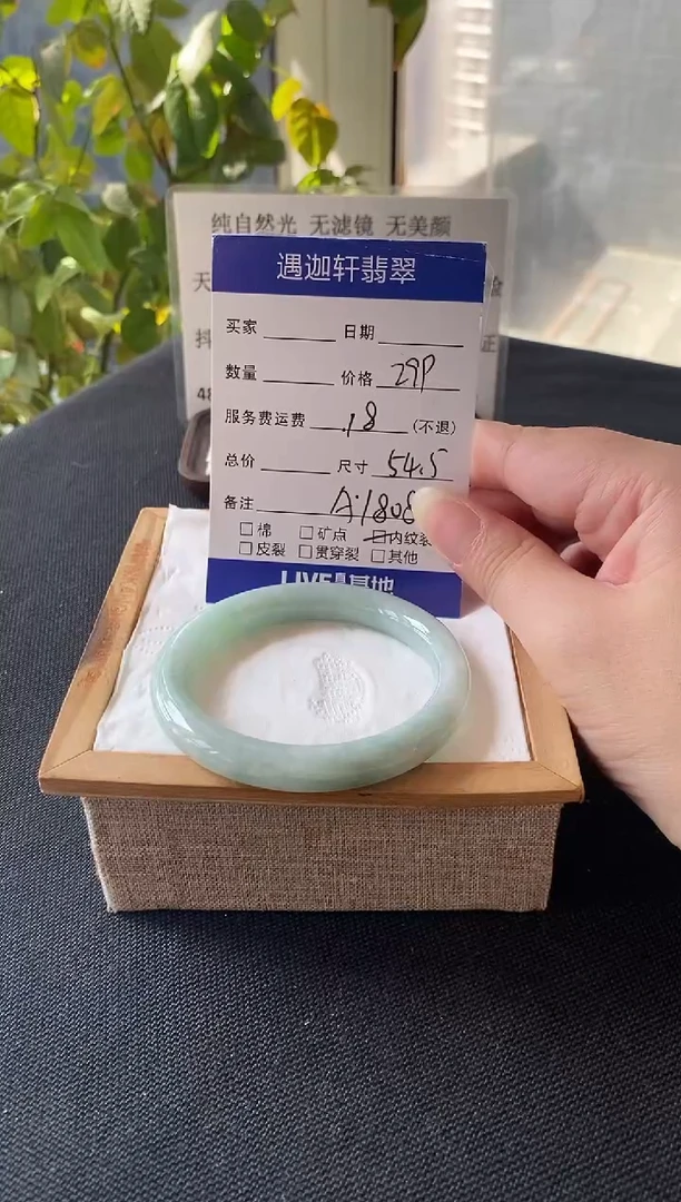 未镶嵌手镯翡翠54.8圈口 A1808编码