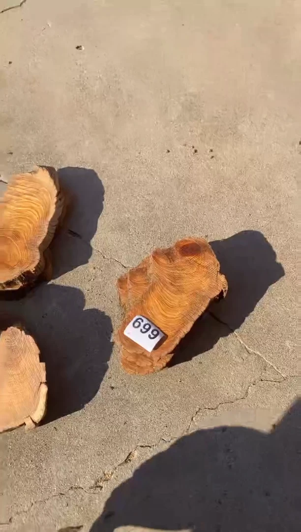 柏木（崖柏）太行陈化崖柏切片一片699