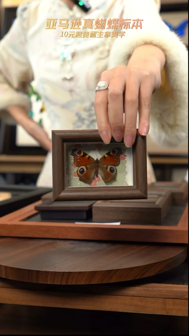 伶福利冰箱贴标本摆件m204