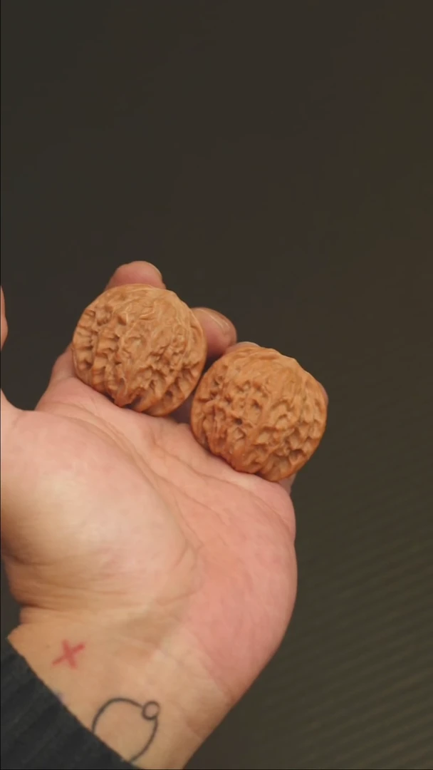 2025核桃季精品山地磨36.8