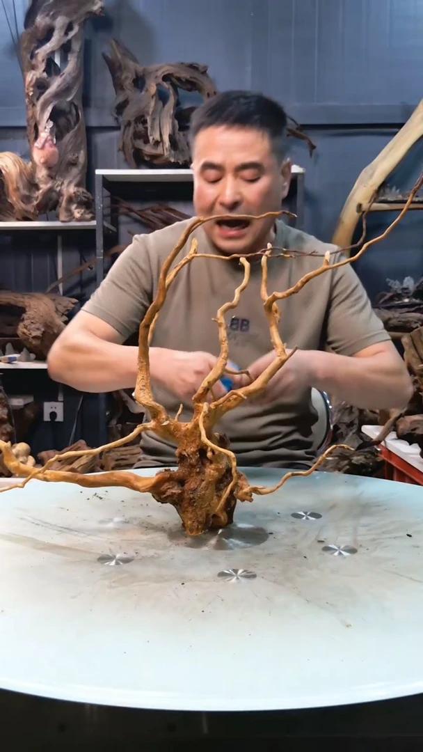 160清香阁清香阁清香阁