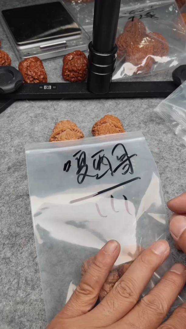 文玩核桃把件嘎*哥0614-俊杰-嘎西
