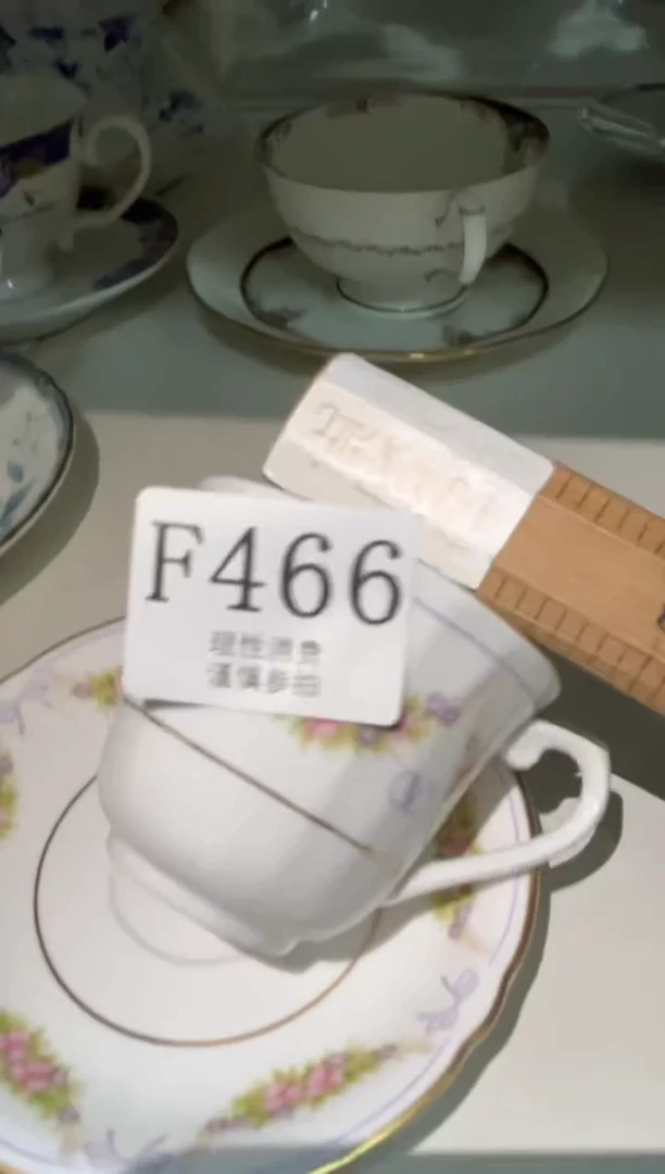 瓷片       F466