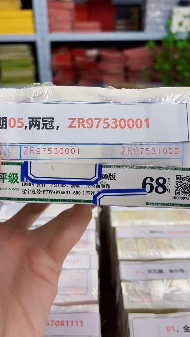 M 早期05,两冠，ZR97530001