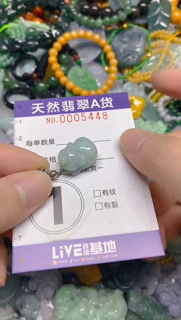 颈饰未镶嵌翡翠0005448