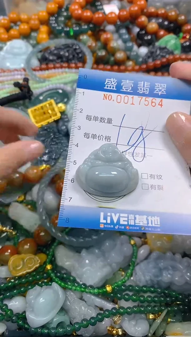 颈饰未镶嵌翡翠闪购0017564