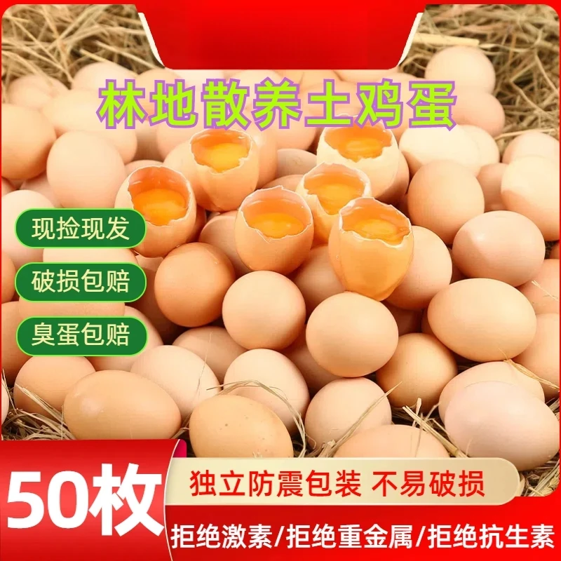 【新品50枚】山林散养土鸡蛋新鲜鸡蛋营养健康每日农户甄选克鲜蛋