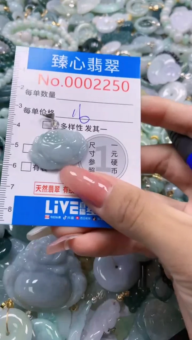 翡翠未镶嵌颈饰2250