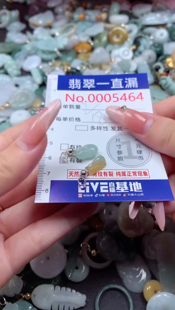 翡翠未镶嵌吊坠(不含链)5464