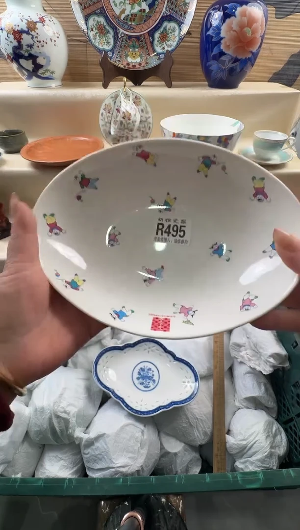 瓷片小**?          R495