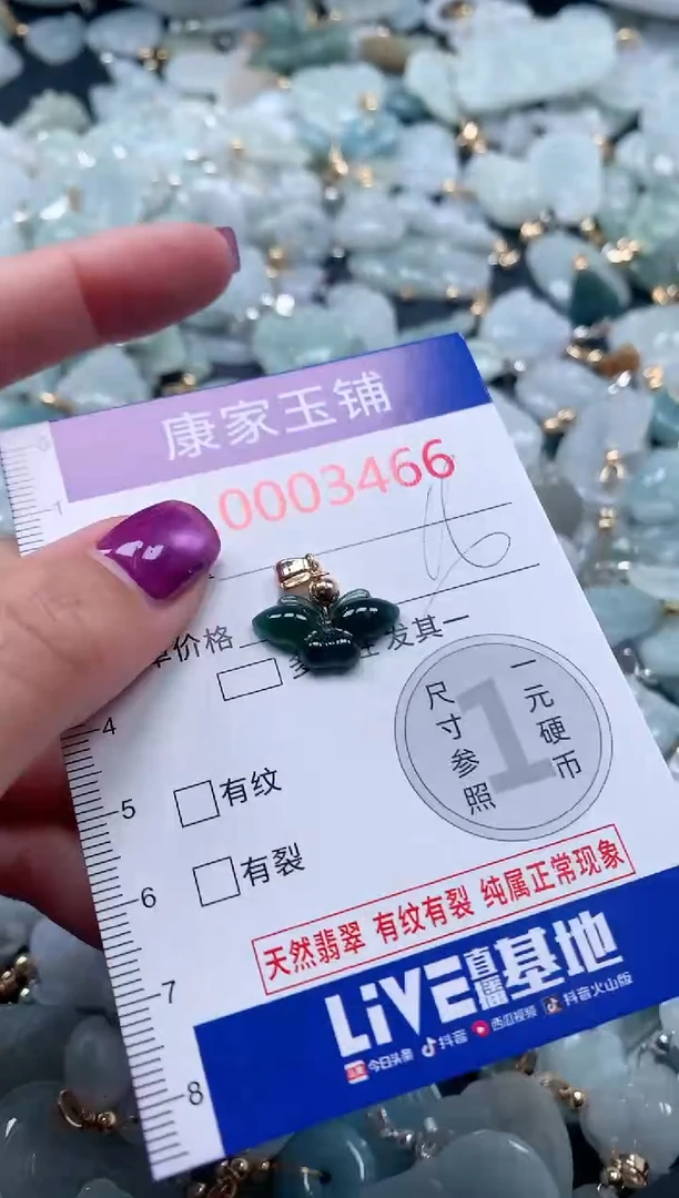颈饰未镶嵌翡翠3466